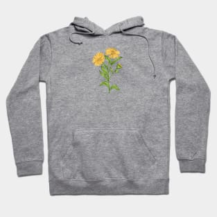 Calendula Plant Botancial Hoodie